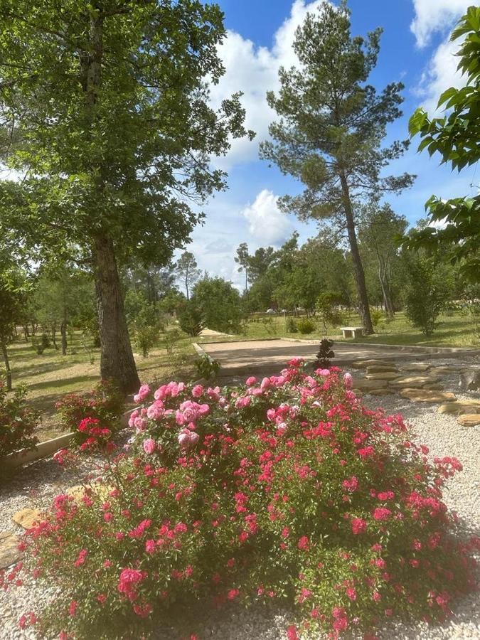 Superbe Villa Seillans La Grande Bastide Avec Piscine, Jardin, Climatisation Et Salle De Sport المظهر الخارجي الصورة
