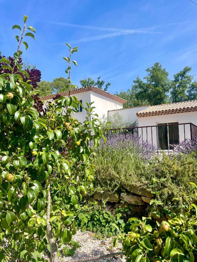 Superbe Villa Seillans La Grande Bastide Avec Piscine, Jardin, Climatisation Et Salle De Sport المظهر الخارجي الصورة