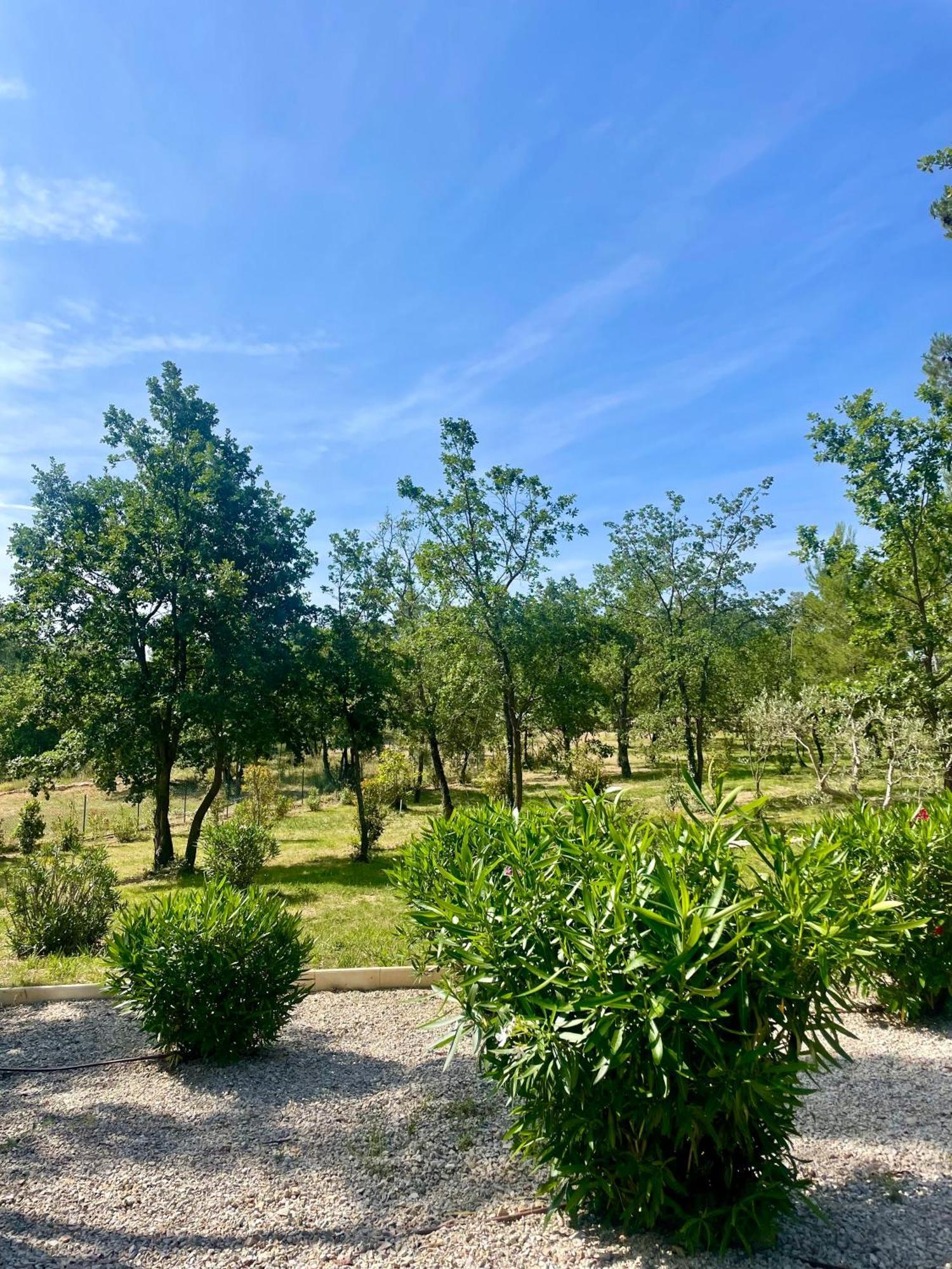 Superbe Villa Seillans La Grande Bastide Avec Piscine, Jardin, Climatisation Et Salle De Sport المظهر الخارجي الصورة