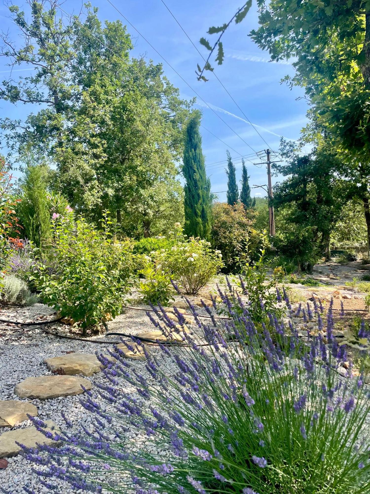 Superbe Villa Seillans La Grande Bastide Avec Piscine, Jardin, Climatisation Et Salle De Sport المظهر الخارجي الصورة