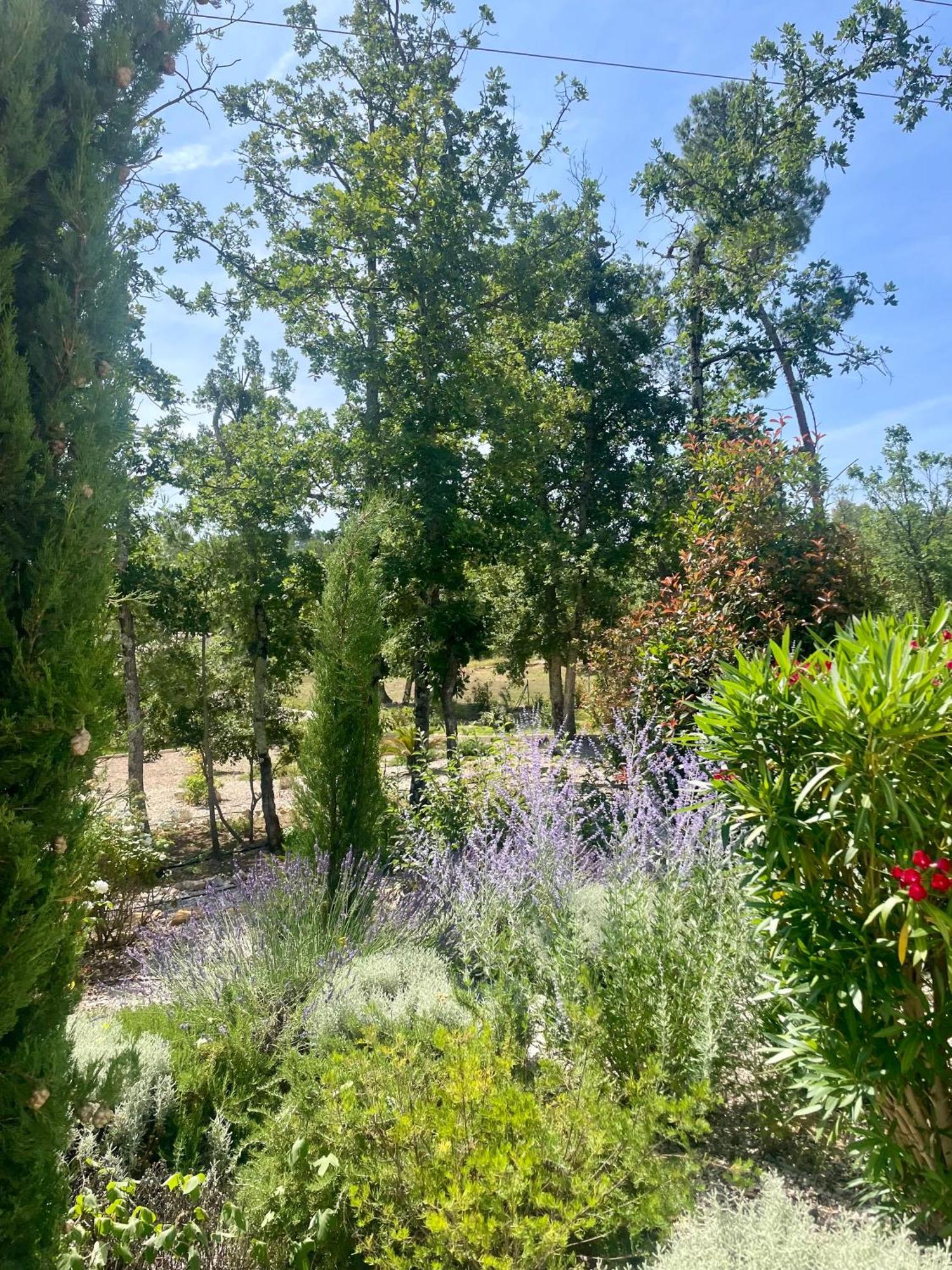 Superbe Villa Seillans La Grande Bastide Avec Piscine, Jardin, Climatisation Et Salle De Sport المظهر الخارجي الصورة