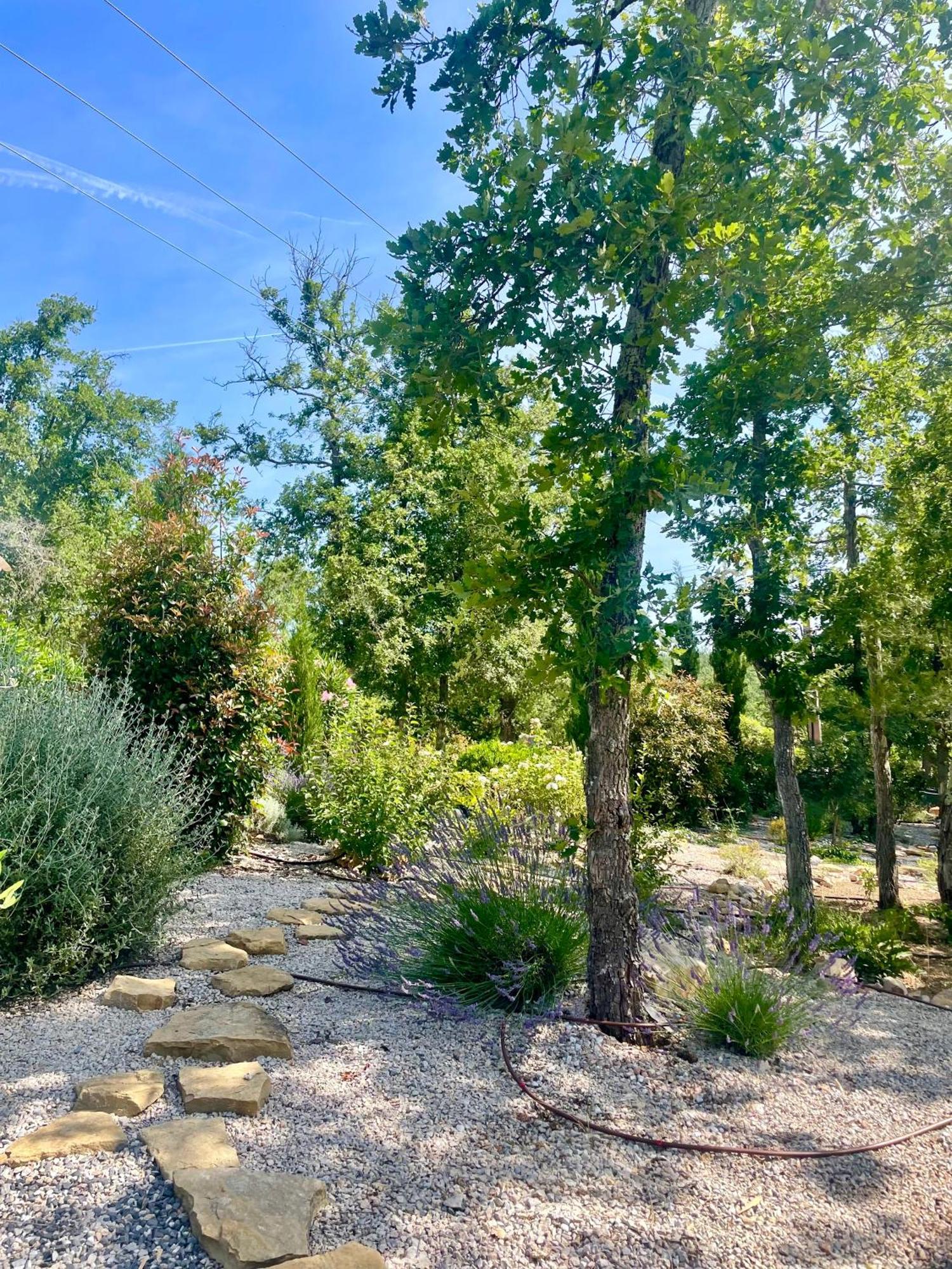 Superbe Villa Seillans La Grande Bastide Avec Piscine, Jardin, Climatisation Et Salle De Sport المظهر الخارجي الصورة